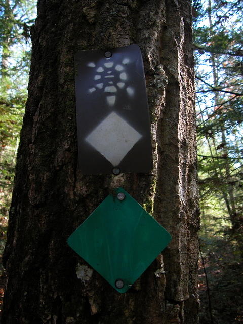 Hidden Passage & Sheltowee Trace Trail Marker - DSCN9523