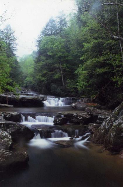 Bark Camp creek falls