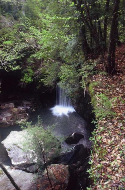 Dog Slaughter Falls 1.4 miles off trail from rd 195