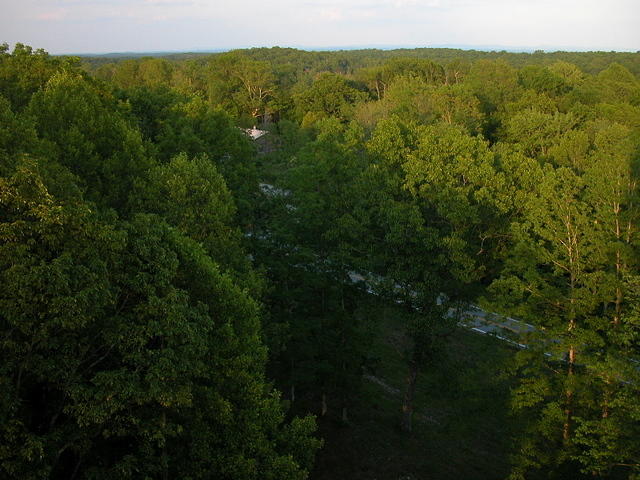 Pickett State Park Fire Tower - DSCN4180