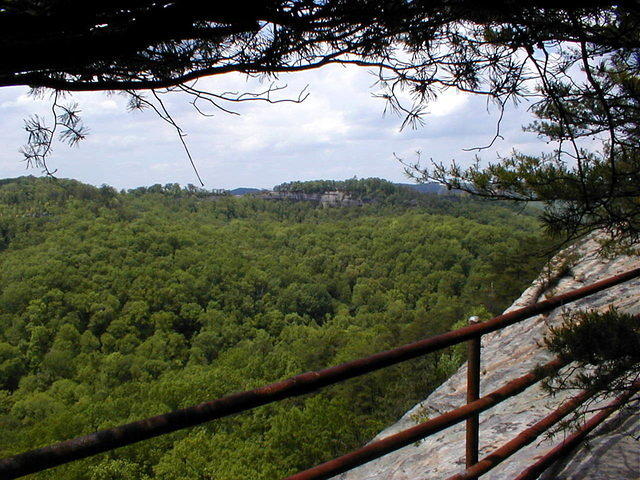 Raven's Rock Trail RRG  View of Auxier Ridge