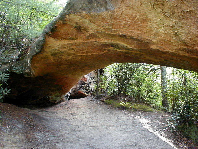 Indian Staircase Trail Intersects with Sheltowee Trace at the Indian Arch