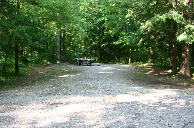 Campspot at Great Meadow Campground (Raccoon loop) 