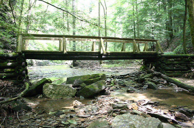 Bridge near Whittleton Branch Campground