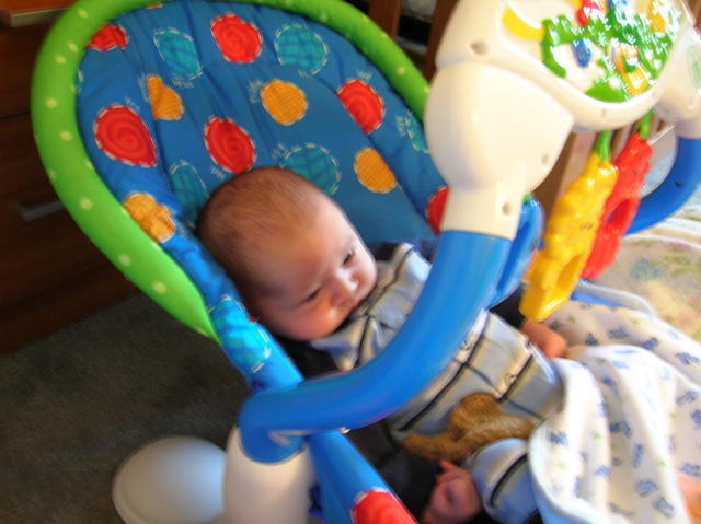 foster in the bouncie seat