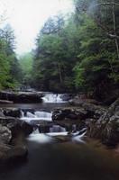 Bark Camp creek falls