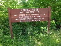 Laurel Ridge Road - DSCN3864