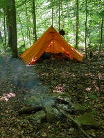 Camp 3, south bank Negro Creek - DSCN4043