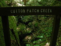 Cottn Patch Creek - DSCN4061