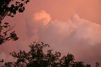 Orange colord clouds are a sign of possible tornadic activity, as in this case.