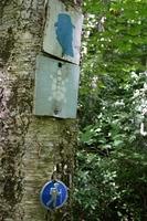 Trail markers for the John Muir, Sheltowee Trace, and Rock Creek Loop trails