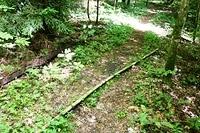 An old rail from the rail road bed
