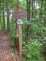 Sheltowee Trace Trailhead at Ky 1956 (old Highway 80) 
