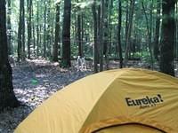 Camp at Tunnel Ridge Rd